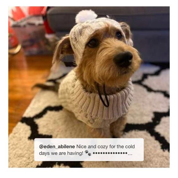 NEW Dog Cat Clothes PET KNIT SWEATER Size MED 20-40LB Cream Boots & Barkley NWT - Picture 10 of 13